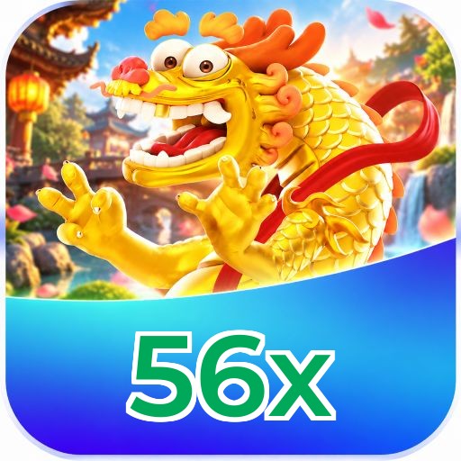 56x Interface